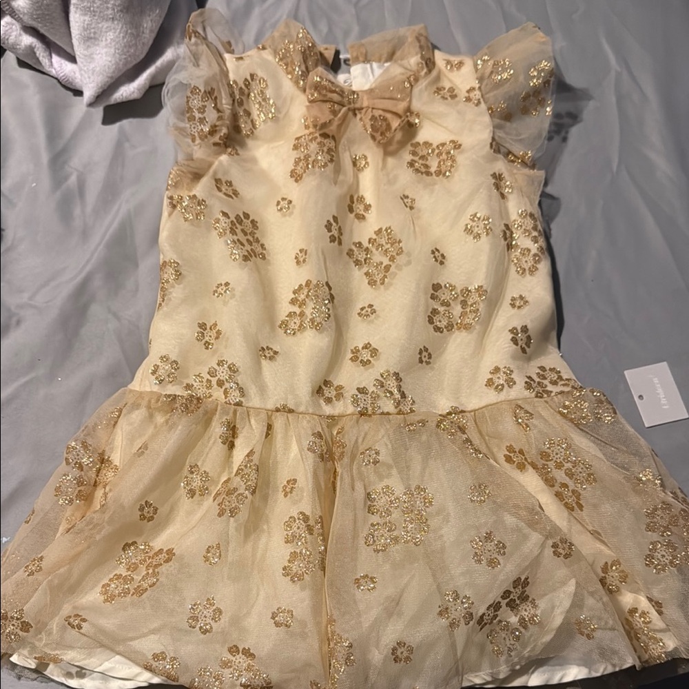 Janie and Jack Cream Dress with Gold Floral Accents wedding party 3T no flaws